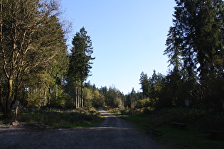 am Ostrand von Hahnenklee, Blick nach Osten