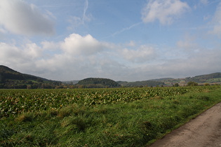 Blick nach Westen ins Forstbachtal