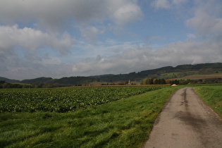 Blick über Golmbach auf die Südflanke der Rühler Schweiz