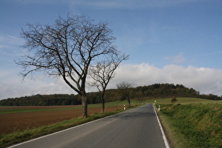 Blick über die L580 zum Hangberg