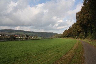 Blick vom Weserradweg auf Grave