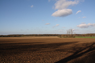 zwischen Velber und Lenthe, Blick auf das Velberholz