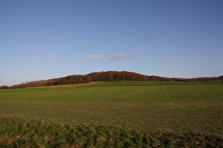 Gehrdener Berg, Westflanke