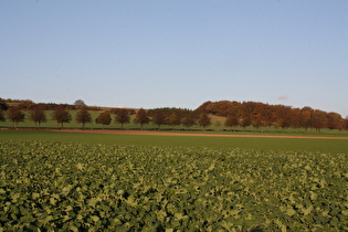 Stemmer Berg, südwestlicher Teil