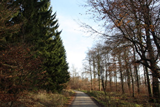 Kammweg zwischen Hirschköpfen und Bröhn, Blick nach Südosten …