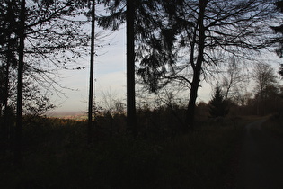 Abfahrt von Hohe Warte Richtung Wennigser Mark, Blick nach Norden