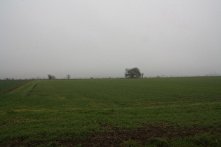 zwischen Stadtoldendorf und Deensen, Blick nach Südosten …