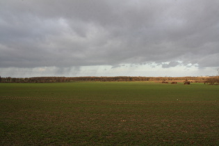 zwischen Lenthe und Velber, Blick auf das Velberholz, Regenschauer am Horizont