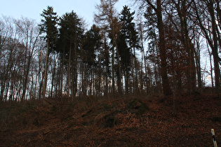 Gehrdener Berg, Große Bergstraße, Blick nach Südosten