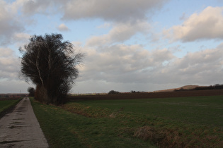 Gehrdener Berg, Westhang, Blick nach Norden und zum Benther Berg