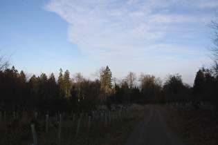 Hohe Warte, Blick nach Nordosten