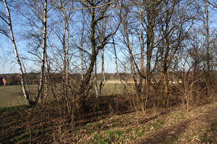 Blick vom Stelinger Berg nach Nordosten …