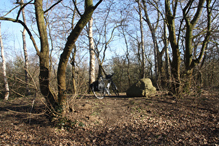 auf dem Stelinger Berg