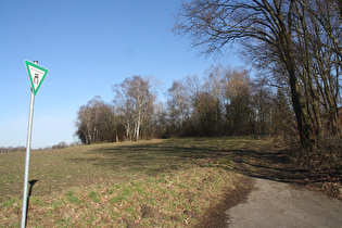 Stelinger Berg, Westhang