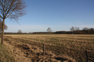 zwischen Brelingen und Bennemühlen, Blick nach Nordosten, …