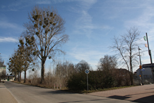 Bahnhof Wennigsten, Blick nach Osten