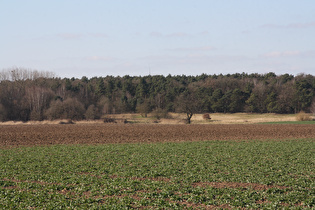 Zoom auf die Garbsener Berge