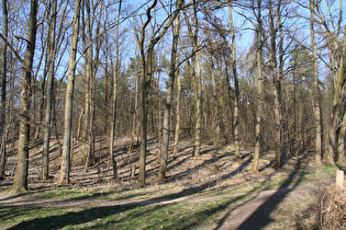 in den Garbsener Bergen, Blick nach Norden …