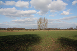 zwischen Horst und Frielingen, Blick nach Norden