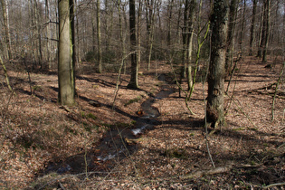 … und Blick flussabwärts