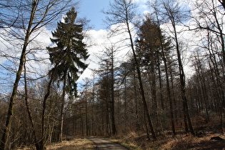 oberhalb Wennigser Mark, Blick Richtung Georgsplatz