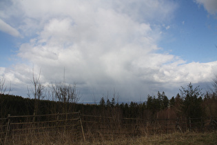 Anstieg zur Hohen Warte, weiter oben, Blick nach Norden