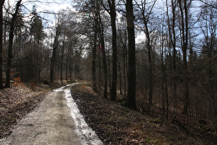 "Wasserstraße" — im Deister eher selten