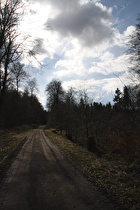 Anstieg zur Hohen Warte, Blick bergauf