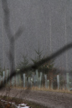 Igitt! Schnee!