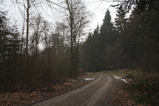 im Schneeschauer, Blick bergab