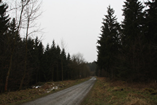 Kammweg, Blick Richtung Hohe Warte