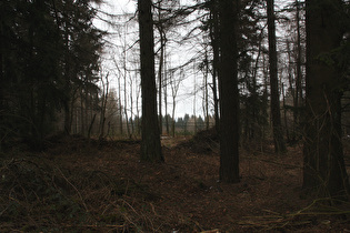 Blick vom Höfeler nach Nordosten