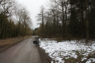 Kammweg, Blick Richtung Bröhn