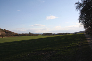 Benther Berg, Ostflanke, Blick nach Süden