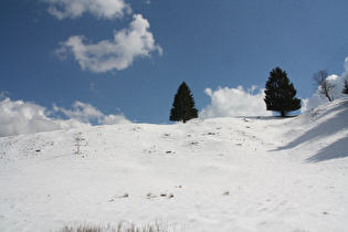 Bergwiese am östlichen Ortsausgang von Altenau