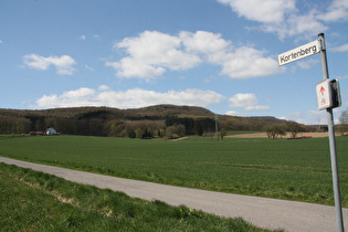 Ilsenbachtal zwischen Elbrinxen und Rischenau, Blick zum Kortenberg