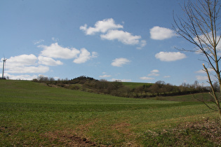 Bergwiesen nördlich von Köterberg (Lügde)
