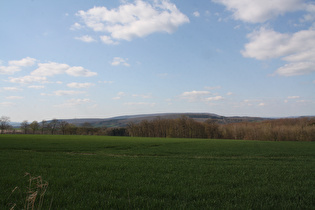 … und Blick zum Marienmünster Forst