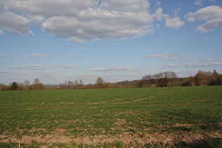 am Südrand von Oeynhausen, Blick nach Westen