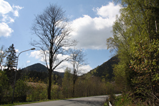 Oker, südlicher Ortsausgang, Blick nach Süden