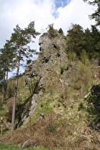 Rabowklippe im Okertal