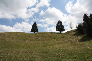 Bergwiese am östlichen Ortsausgang von Altenau