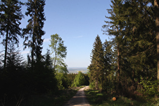 bei den Hirschköpfen, Blick nach Nordosten