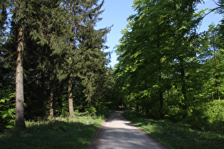 Kammweg zwischen Hirschköpfen und Bröhn, Blick nach Südosten