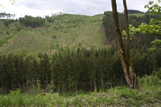 Blick über die Steinerne Renne nach Süden …