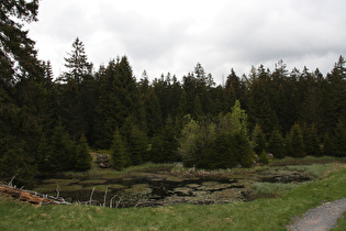 Jakobsbruch, Blick nach Norden