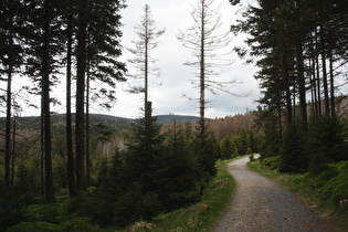 Glashüttenweg, Blick zum Brocken