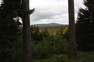 östlich unterhalb Torfhaus, Blick zum Brocken