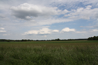 südlich von Horst, Blick nach Osten