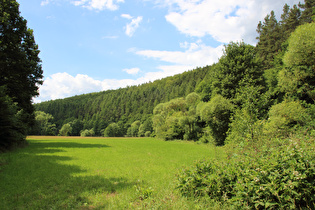 Ulfetal zwischen Bebra und Ronshausen, Blick talabwärts